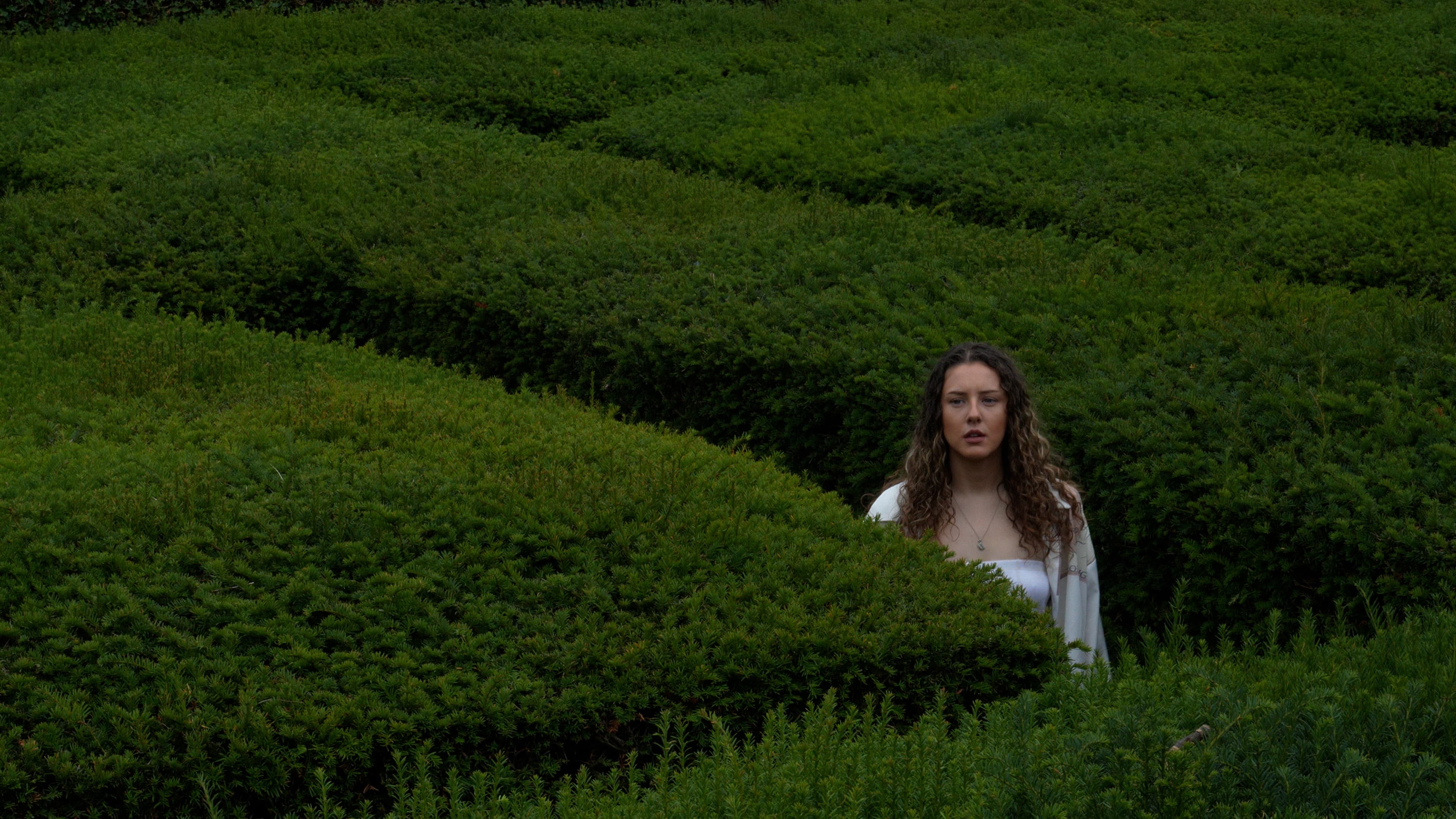 Gallery image C1294.MP4.14 14 39 18.Still001